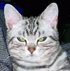 [Avatar]