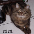 [Avatar]