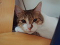 [Avatar]